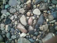 !cid__0718100954.webp