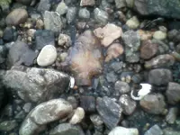 !cid__0718101223a.webp