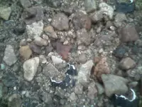 !cid__0718101226.webp