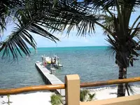 my front yard 001.webp