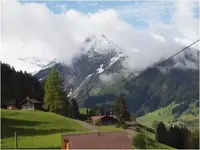 metal detecting swiss 1.bmp.webp