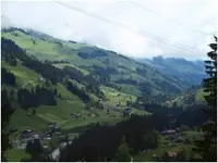 metal detecting swiss 2.bmp.png.webp
