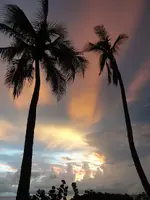 beach 012.webp