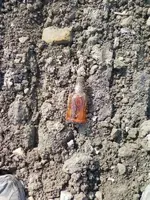 beer bottle made it thru dredging intact.webp