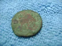 new finds083010 013.webp