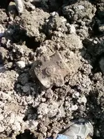 Brasscopper whatitz.webp