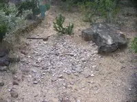 DSCF1386.webp