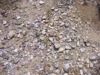 DSCF1387.webp
