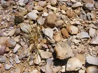 DSCF1388.webp