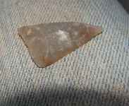 IMG_2350.webp IMG_2350.webp