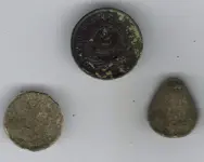 Coins back.webp