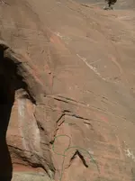 bell105.webp
