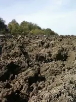 Clods1.webp