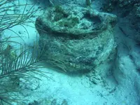 P 018.webp