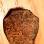NC FINDS 8-31 008.webp