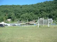 Picture 010.webp