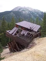 100_1231.webp