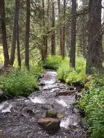 100_1396.webp