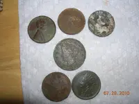 DSCN3953.webp
