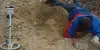 avatar_12359.webp