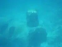 P 010.webp