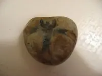 rock.webp