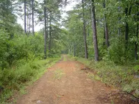 Down MT Roads 001.webp