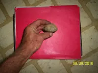 100_0787.webp