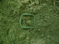 AUG 7th CELLAR HOLES WITH GARY and PAUL 009 [].webp