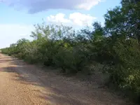 DSCF1389.webp