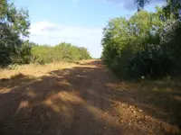 DSCF1390.webp
