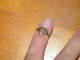 th_CELL005.webp