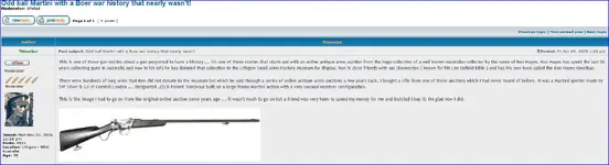 SW Silver rifle.webp
