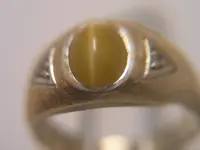 ring-2.webp