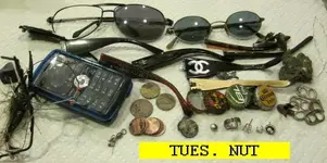 831NUT.webp