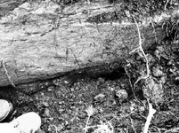 DSC05258-1.webp
