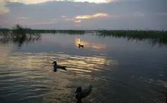 0_53b12_ff3f0033_L.webp