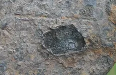 axe mark 2.webp