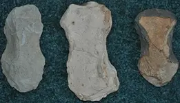 AXES 259.webp