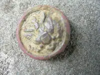 button 2.webp