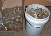 detector finds 002.webp