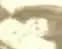 hat.webp
