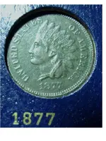cert plus indians 002.webp
