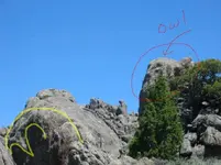 owl.webp