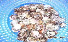 2007_0124coins0003.webp