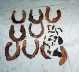 pict1.webp