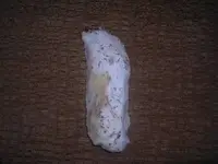 DSCN1226.webp