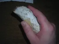 DSCN1227.webp