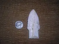 DSCN1228.webp
