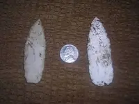DSCN1229.webp